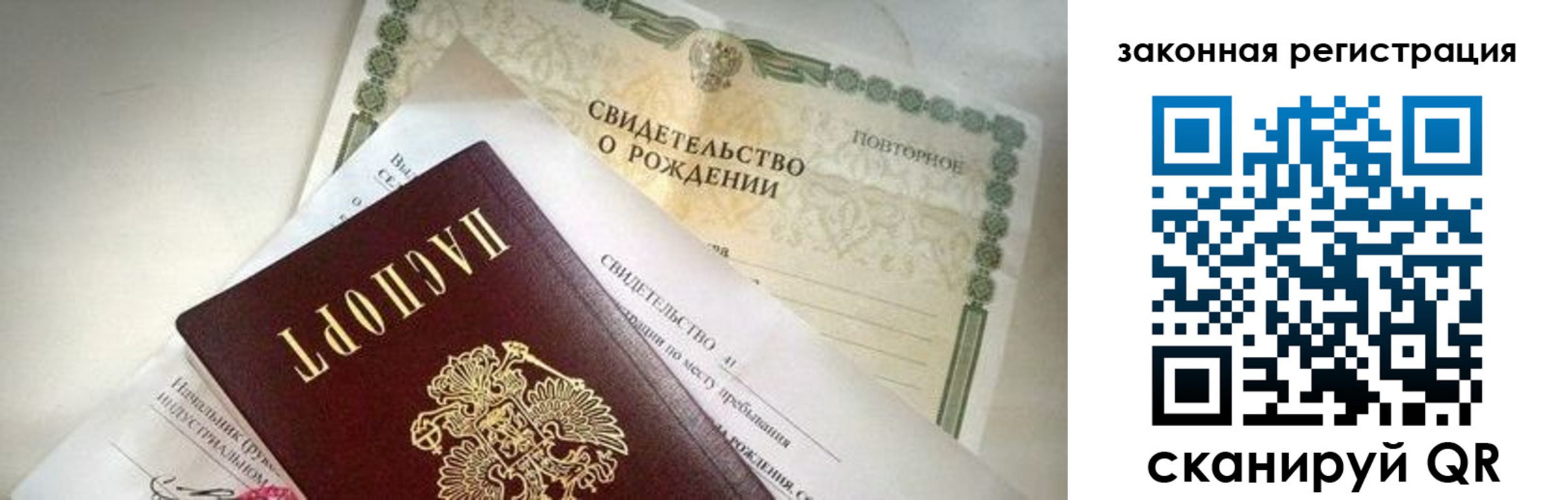 прописка поиск в Павловске