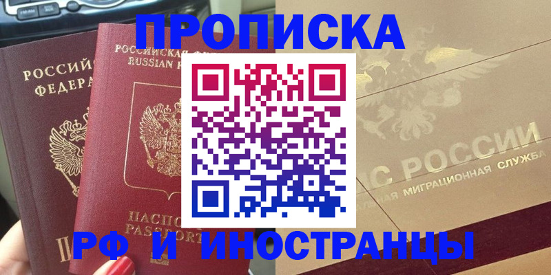 временная регистрация поиск в Павловске
